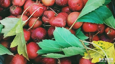 不信人間有別離