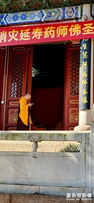 很是喜歡的一張照片