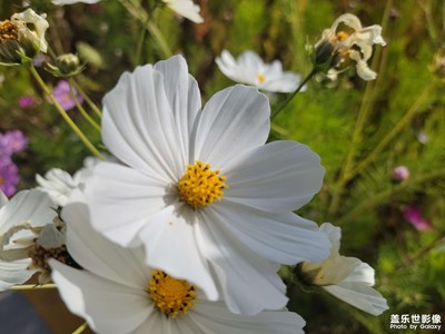 生活美好的瞬間