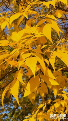 人間忽晚，山河已秋