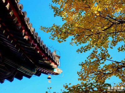 京北秋色