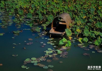 【好風(fēng)光】+烏篷船