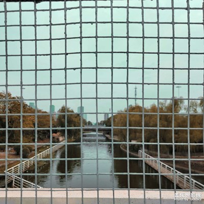 【好風(fēng)光】陰郁の秋