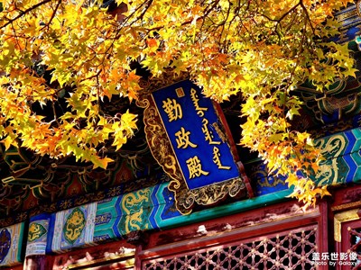 【好風(fēng)光】紅葉香山