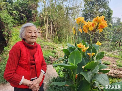 外婆今年八十七