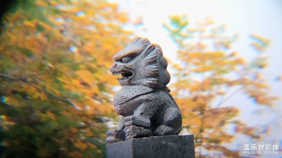 [好風(fēng)光] + 生活雜拍-秋