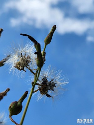 萬物之中希望最美