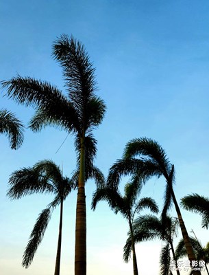 微風(fēng)習(xí)習(xí)