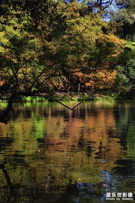 罨畫池的秋天