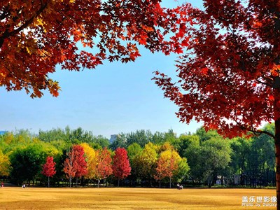 【多彩生活】一抹紅色