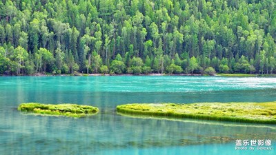 【多彩新疆】+絕美喀納斯