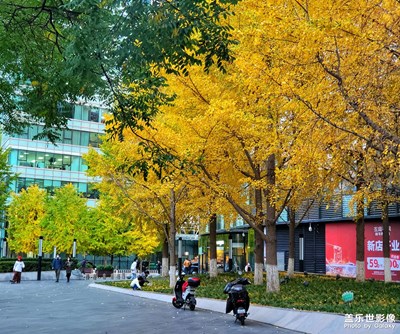 路上的秋風(fēng)