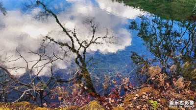 【秋去冬來】+ 九寨溝神仙池的秋