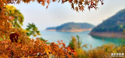 【秋去冬來(lái)】+難忘·南方秋末