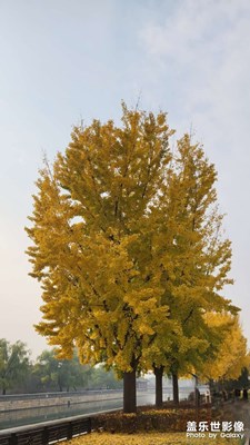 秋日故宮一日游