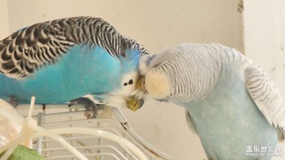 【秋去冬來(lái)】+?秋？