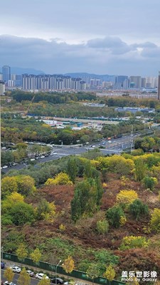 小區(qū)