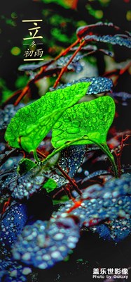 立冬初雨?。。?！