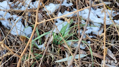 2022年的第一場雪