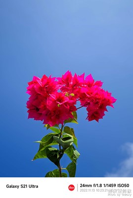 【秋去冬來】+暖冬