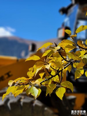 2022秋，康藏