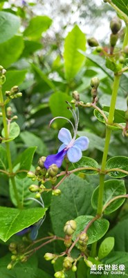 如何提升出片質(zhì)量？