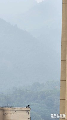 【初冬的景象】+?初冬抗疫在家