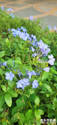 這樣拍才有靈魂…