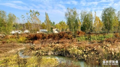 【初冬的景象】村頭小河