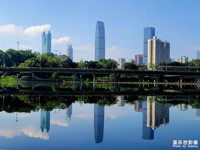 【初冬的景象】+?初冬之深圳