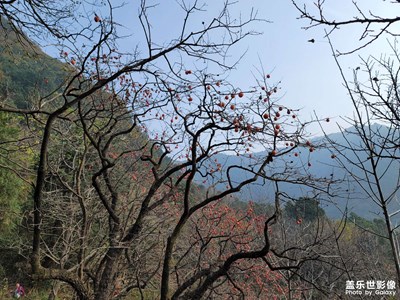 【初冬的景象】+ 秦嶺