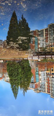 【初冬的景象】＋不一樣的視角