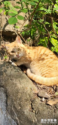 捕捉動(dòng)作還是虛