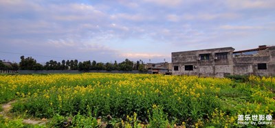 鄉(xiāng)村鄉(xiāng)鎮(zhèn)