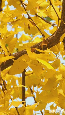 最美的色彩！