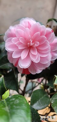 那種很美很美的照片，我怎么就拍不出來呢？