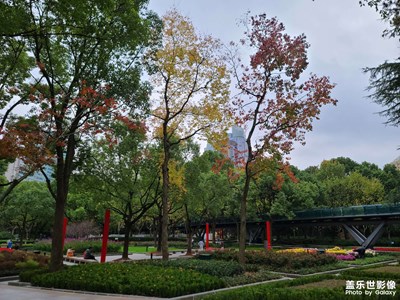 【生活的色彩】冬日公園掠影