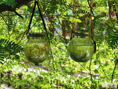 【生活的色彩】公園里的綠色