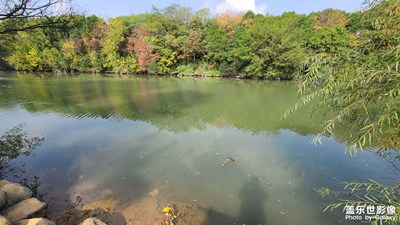 做任務(wù)，賺星鉆