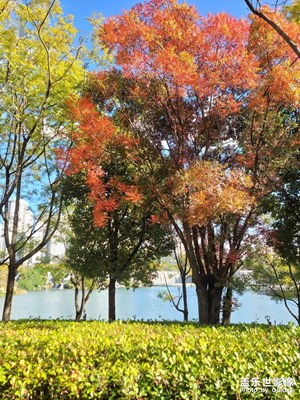 昆明瀑布公園隨拍