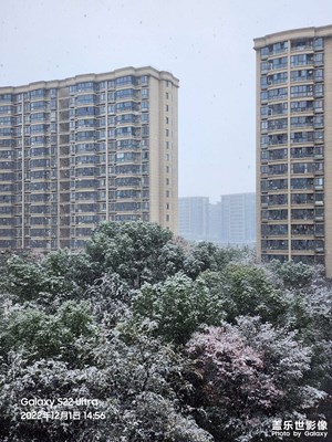 下雪的杭州隨手拍