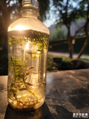 夕陽西下，朝陽升起