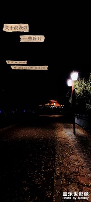 疫情之下初冬的夜是如此的安靜