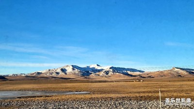 隨心所欲的浪漫