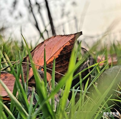 【天光凈影】+ 隨拍