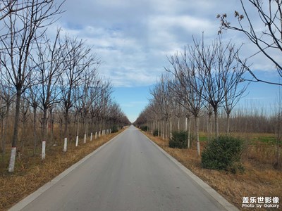 【天光凈影】美景在路上