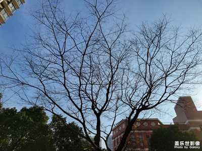 【天光凈影】+冬日暖陽