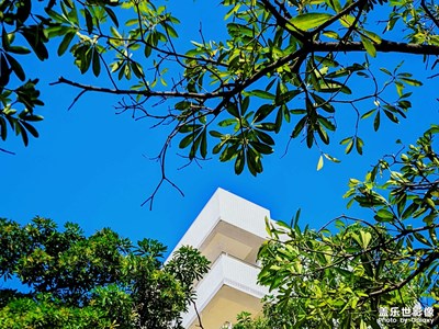 【天光凈影】+藍(lán)天