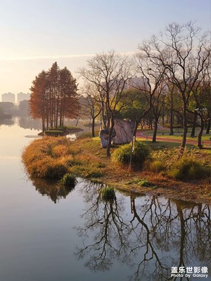 【生活隨拍】+冬日暖陽(yáng)