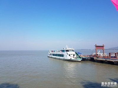 【難忘2022】+忠廟一游